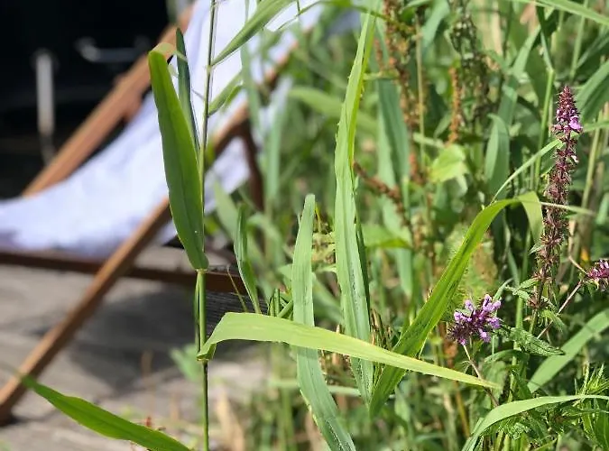 Chalé Aan De Rotte *