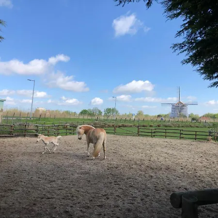Aan De Rotte *