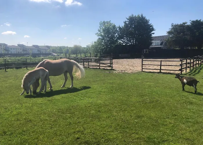 Aan De Rotte Horská chata Rotterdam