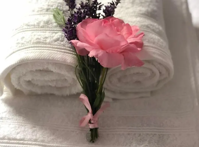 Aan De Rotte Chalet Rotterdam