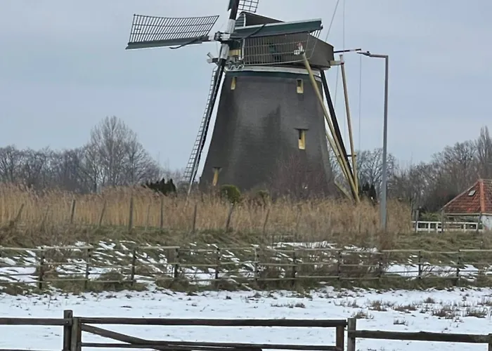 Aan De Rotte * Róterdam