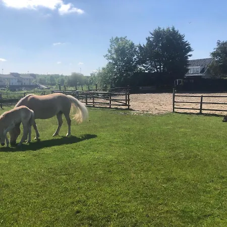 Aan De Rotte Alpehytte Rotterdam