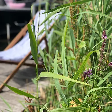 Alpehytte Aan De Rotte *