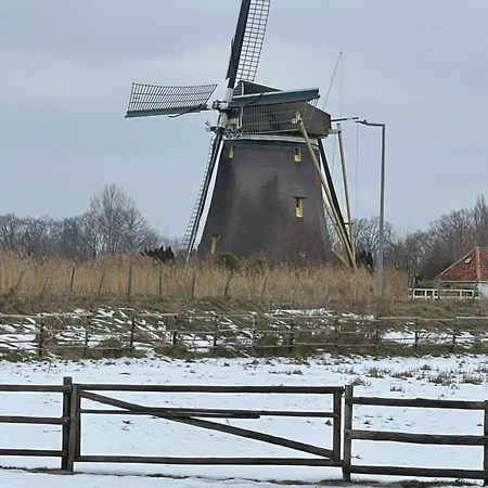 Aan De Rotte * Rotterdam