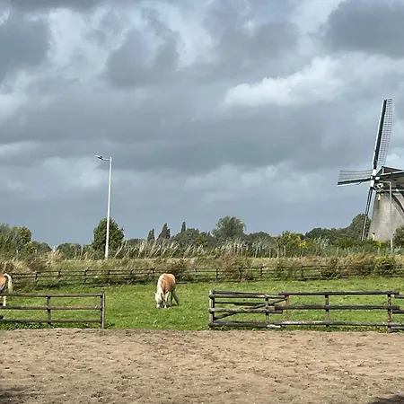 Alpehytte Aan De Rotte