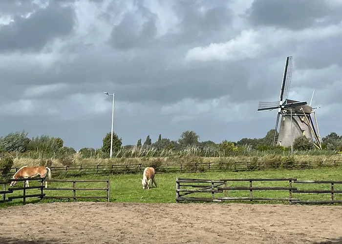 Шале Aan De Rotte